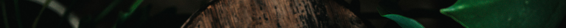 banner.jpg banner.jpg